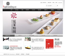 廣告咨詢服務公司企業網站整站設計——Vens2008作品展示